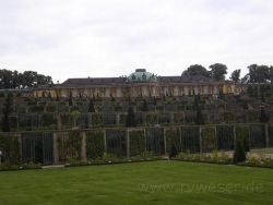 2007-07-01 026.JPG
